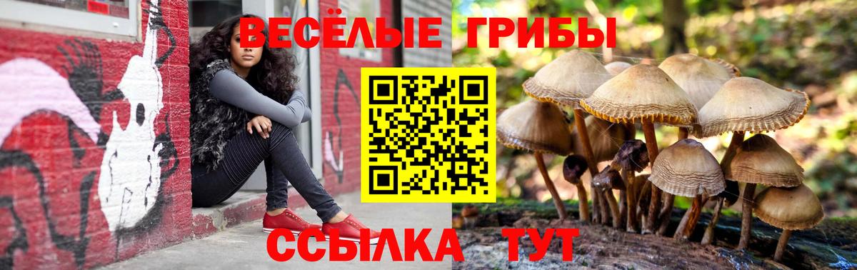 Вятские Поляны  как найти закладки  Вход с VPN  Галлюциногенные грибы Magic Shrooms 